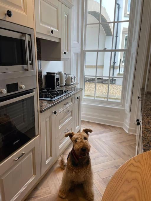 Whitehall, Thomas Turnbull Flat 3 Beautiful Apartment In Georgian House Whitby Exteriör bild